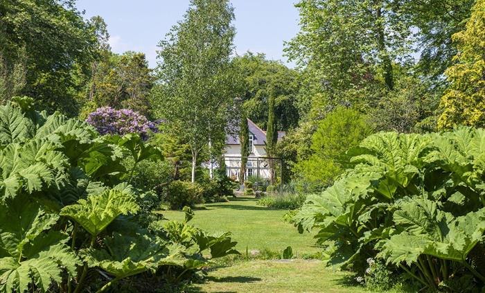 The Cors Country House